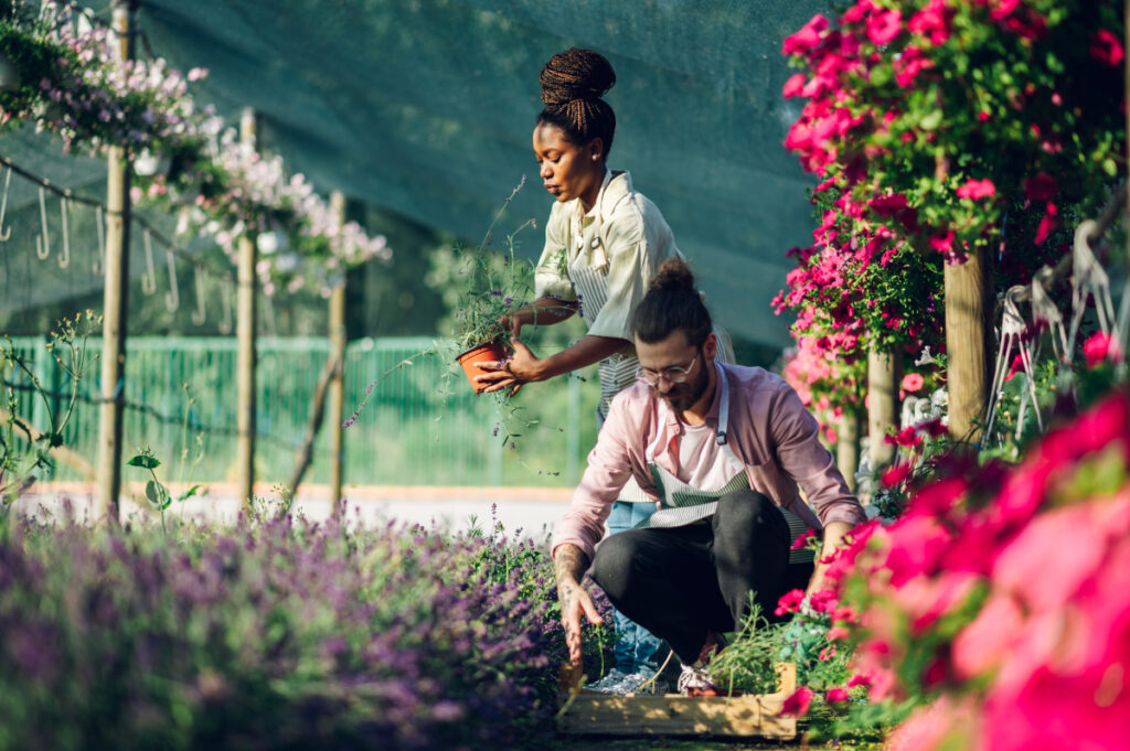 decoration-jardin