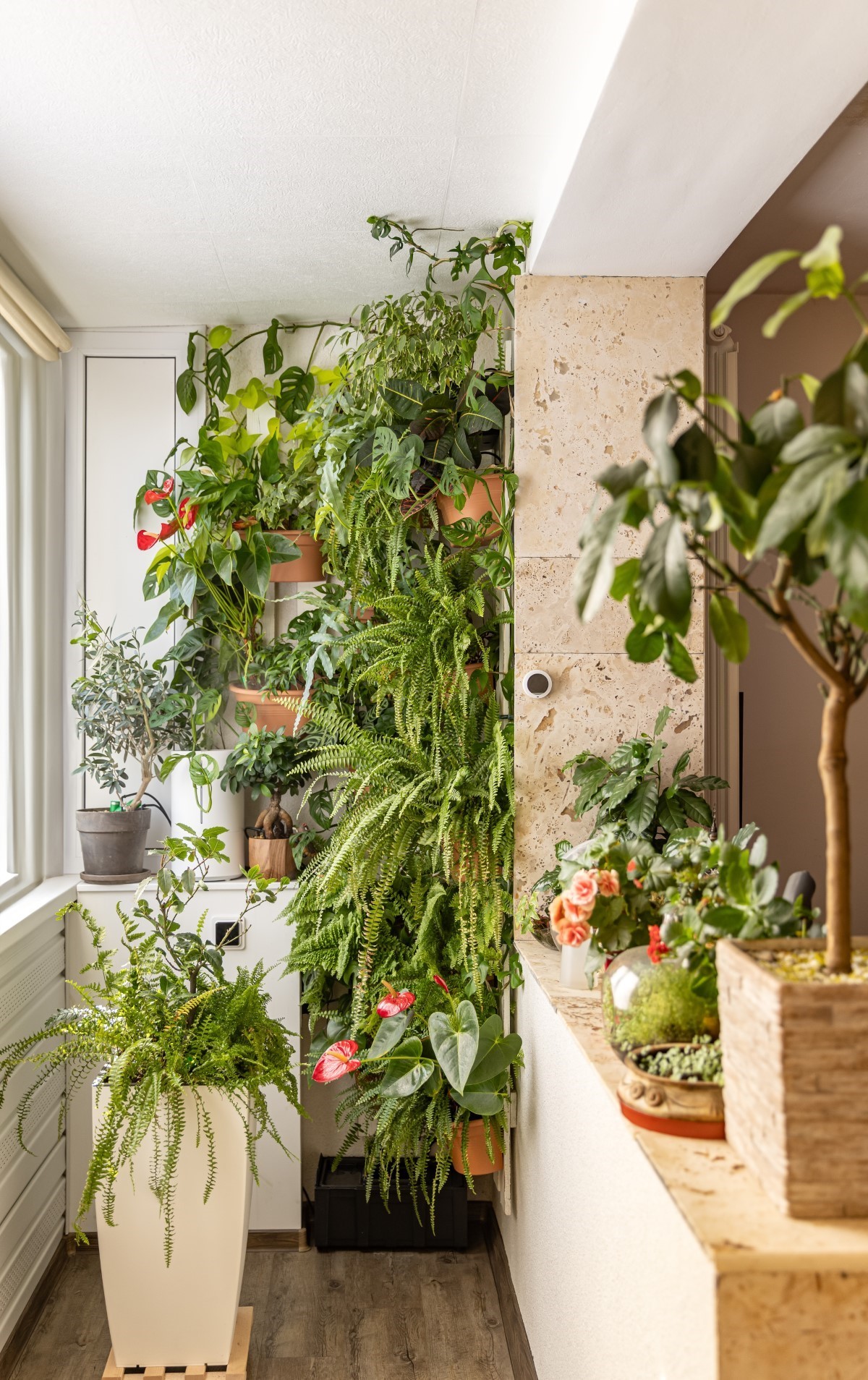 potager sur un balcon