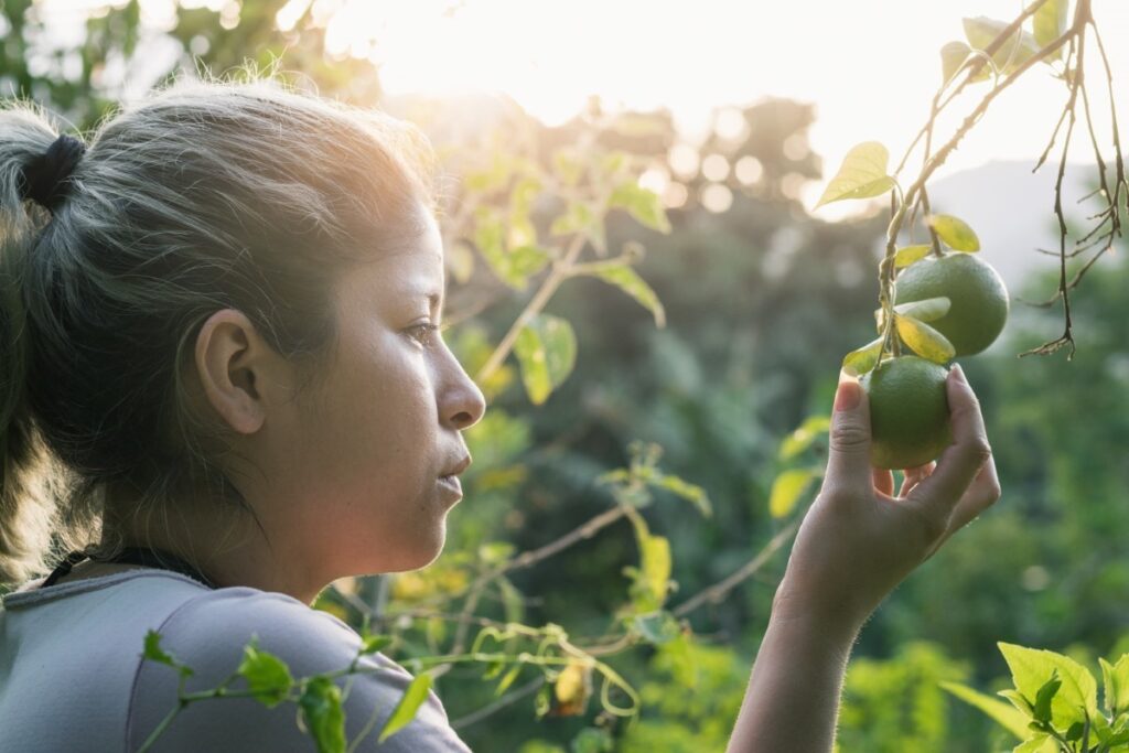 un phénomène naturel méconnu